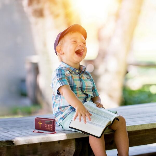 Talking Bible Audio Bible Player English King James Version Bible Reading Player Electronic Bible Talking - Image 11